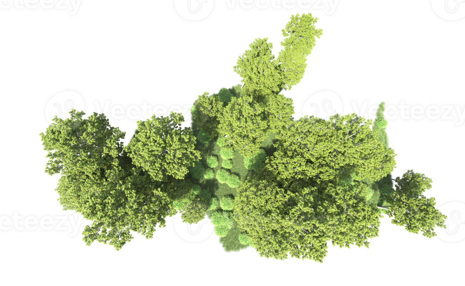 groen Woud geïsoleerd Aan achtergrond. 3d renderen - illustratie png