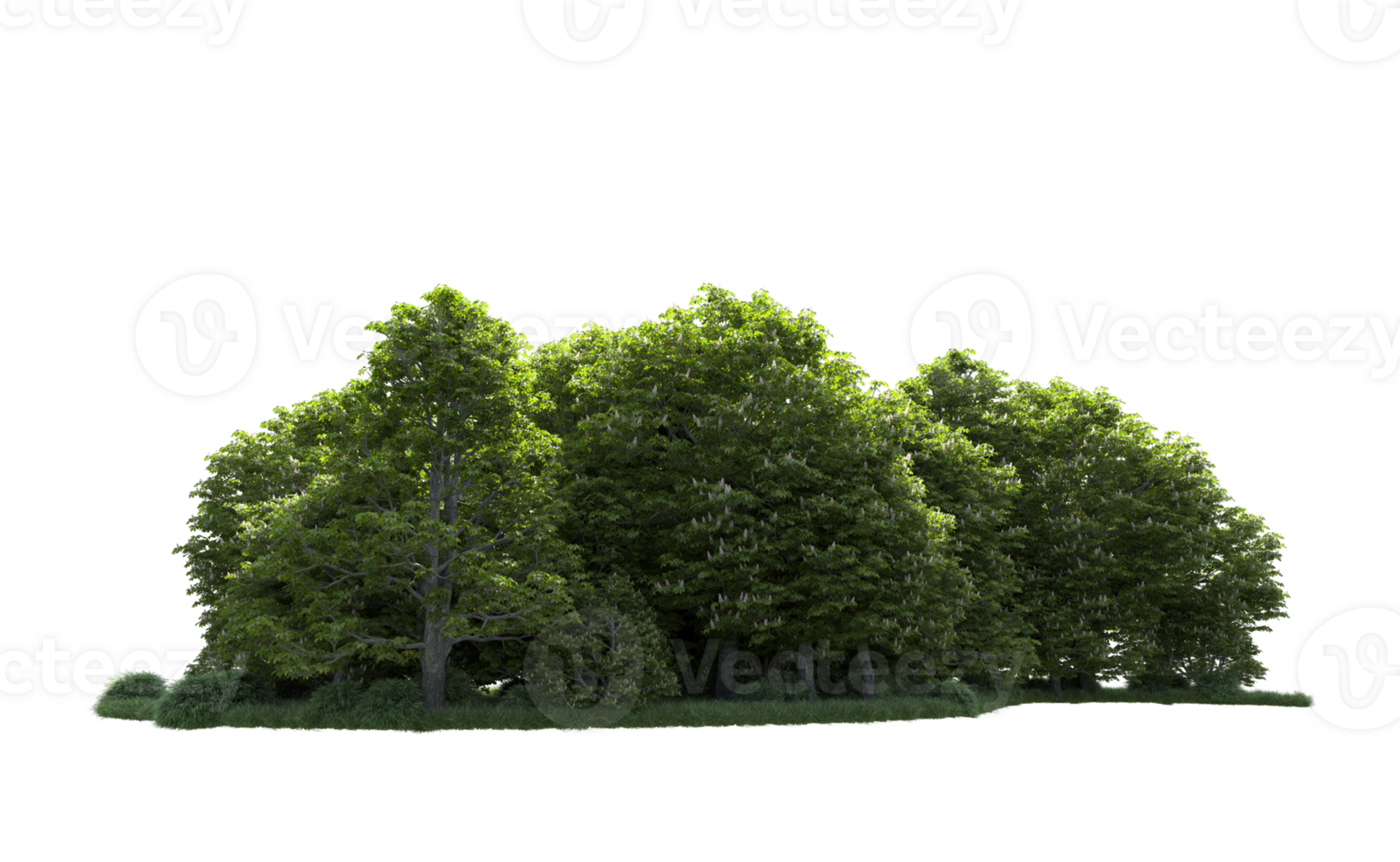Green forest isolated on background. 3d rendering - illustration png