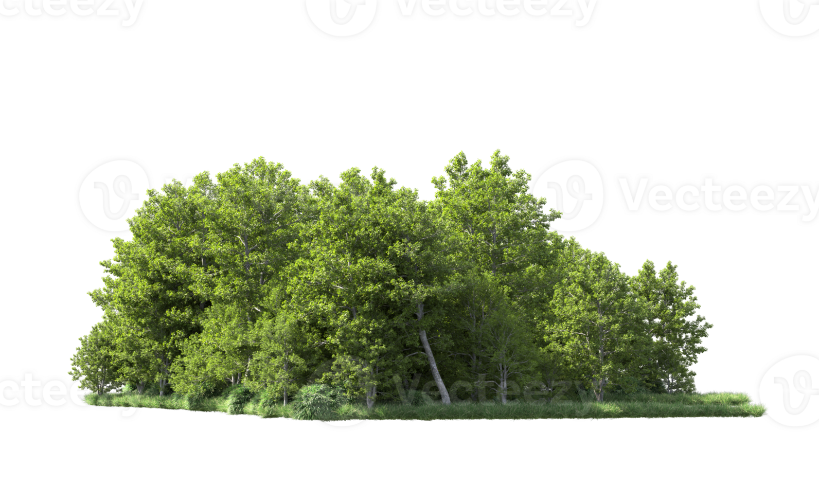 Green forest isolated on background. 3d rendering - illustration png