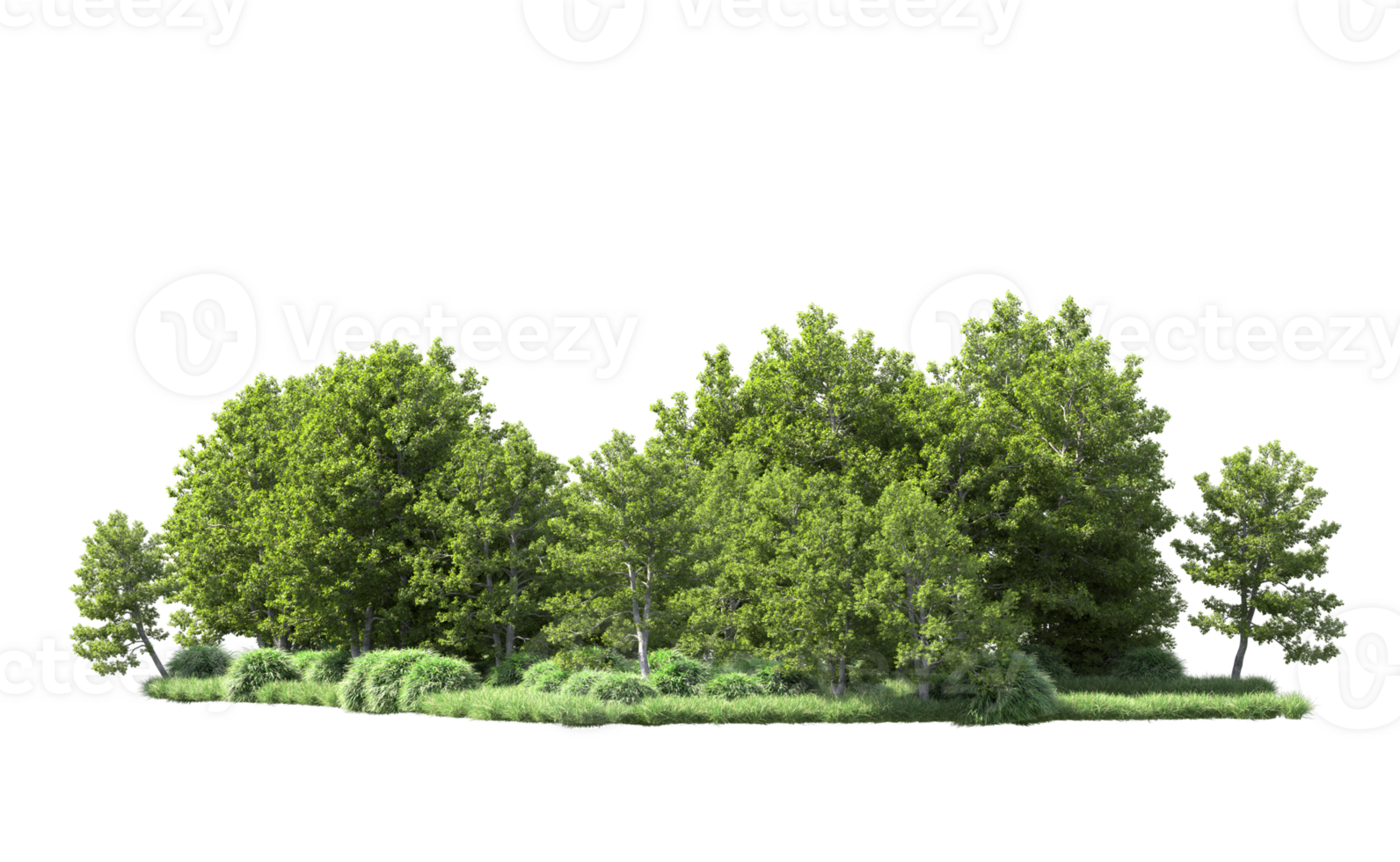 Green forest isolated on background. 3d rendering - illustration png
