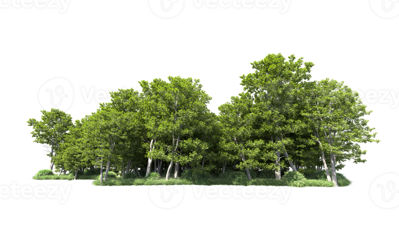 verde floresta isolado em fundo. 3d Renderização - ilustração png