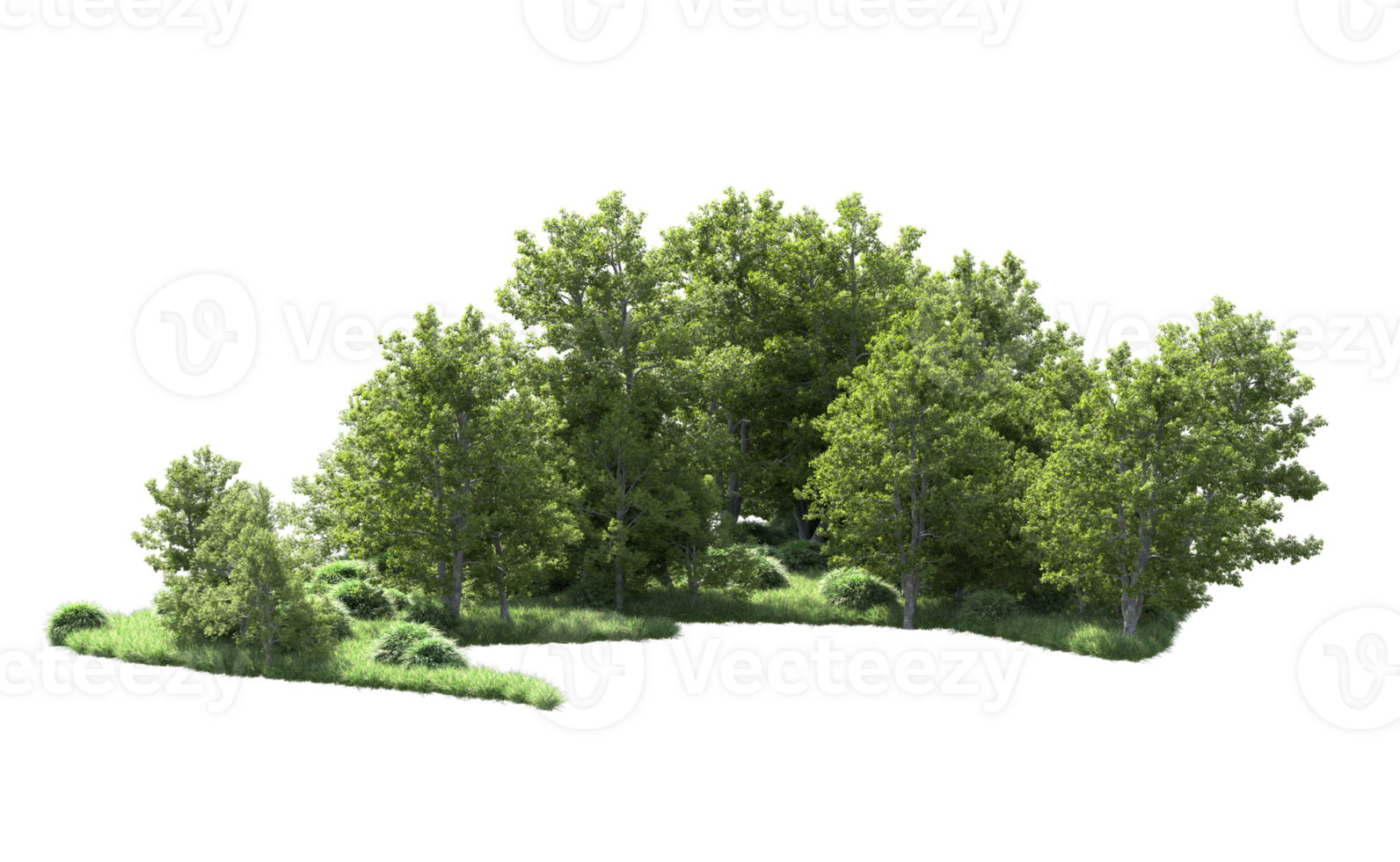 Green forest isolated on background. 3d rendering - illustration png