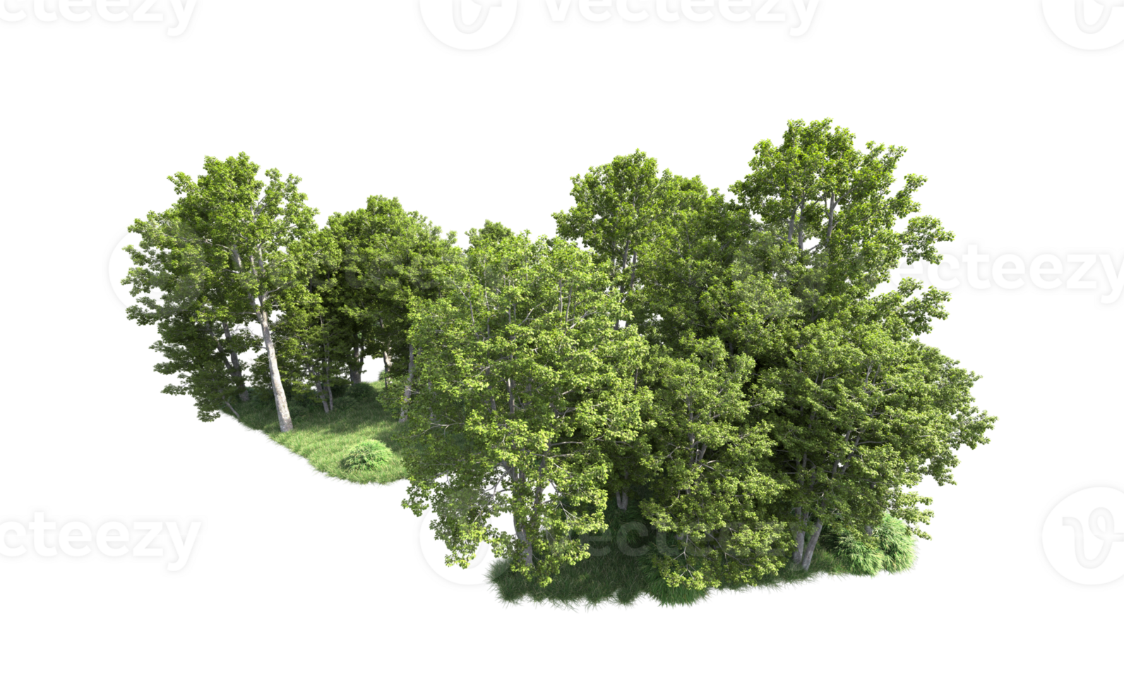 Green forest isolated on background. 3d rendering - illustration png
