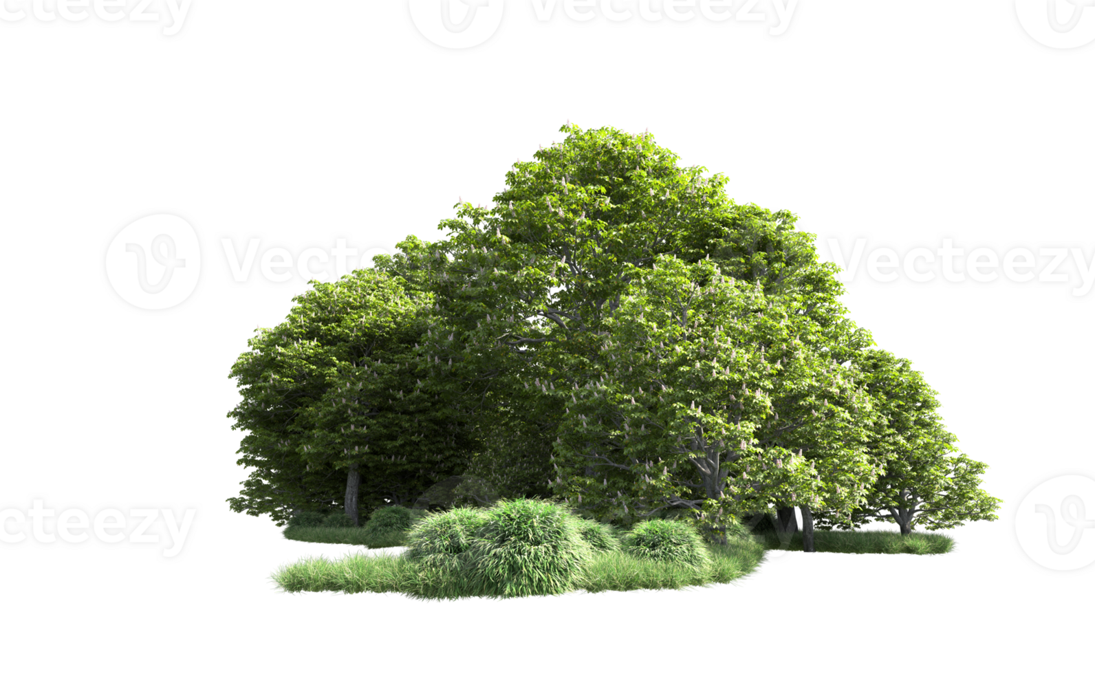 Green forest isolated on background. 3d rendering - illustration png