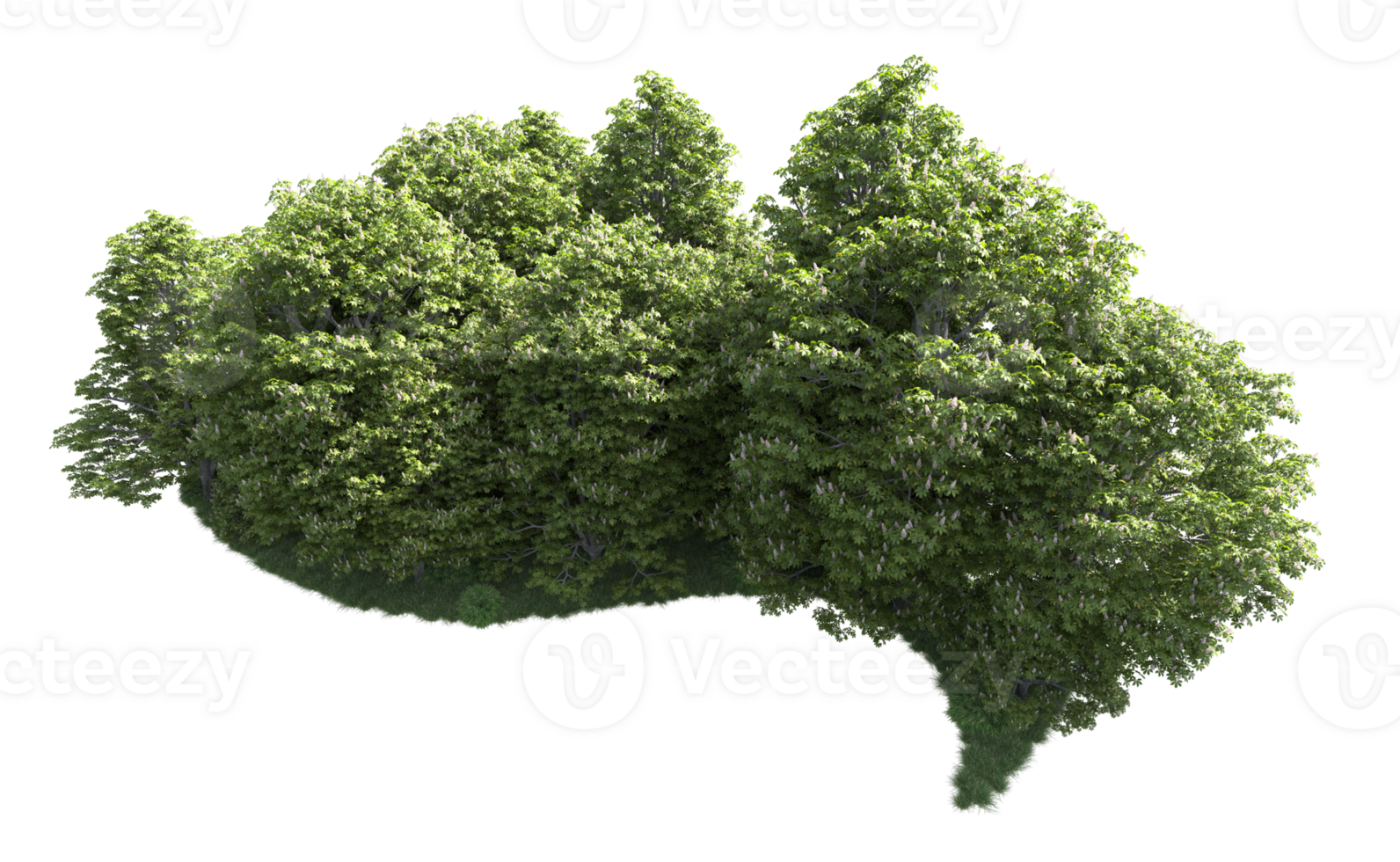 Green forest isolated on background. 3d rendering - illustration png