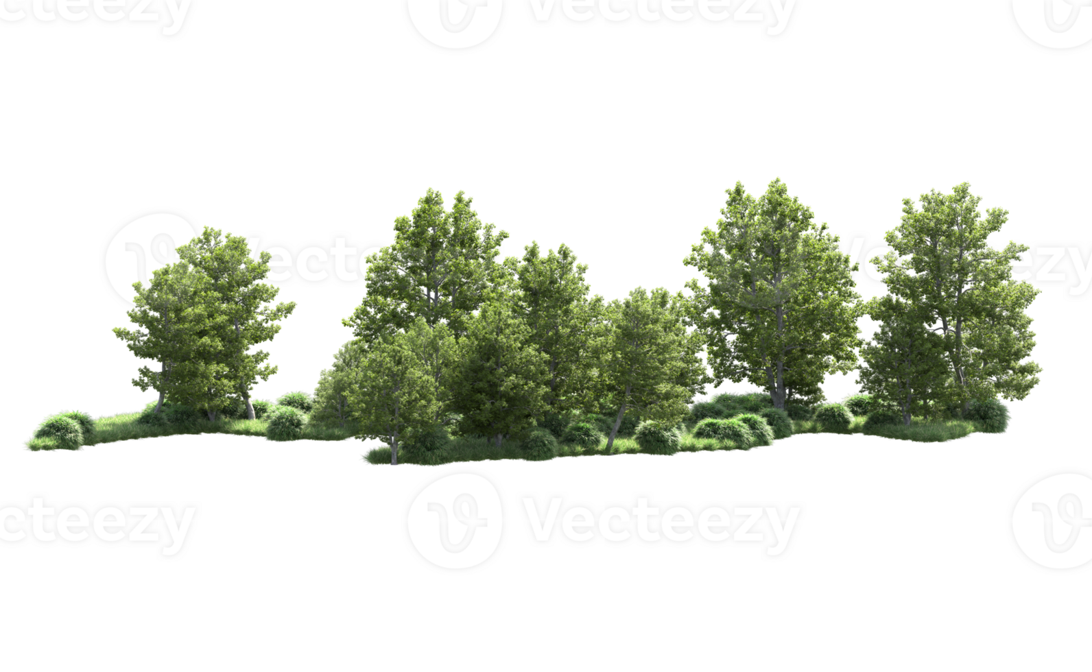 Green forest isolated on background. 3d rendering - illustration png