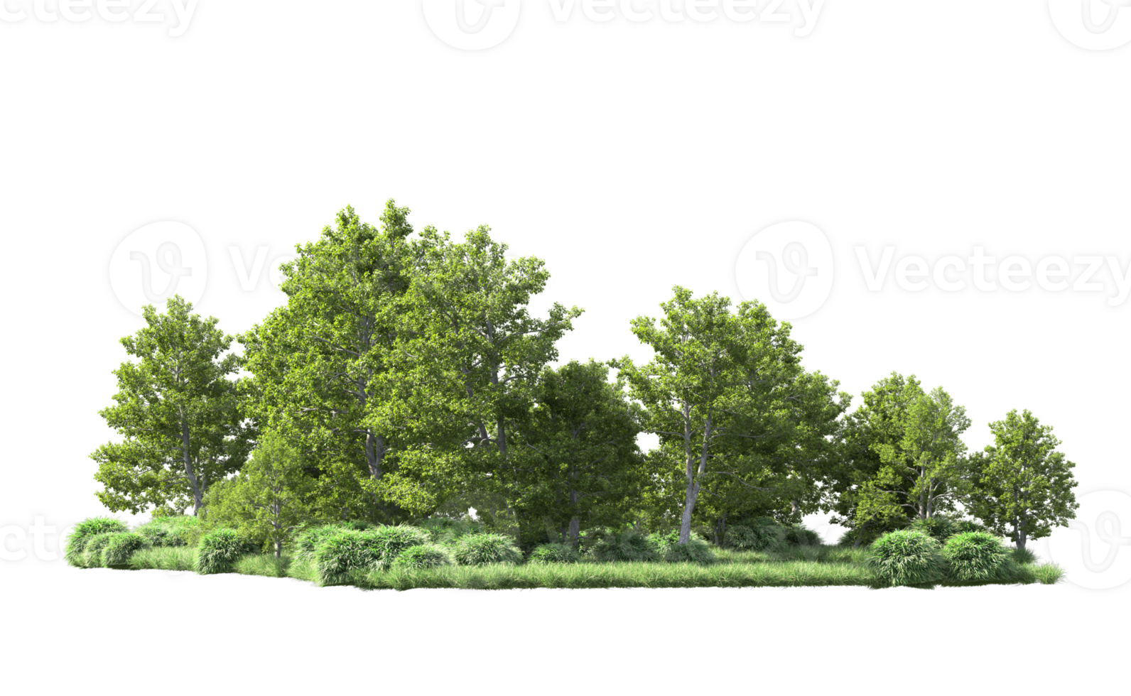 Green forest isolated on background. 3d rendering - illustration png