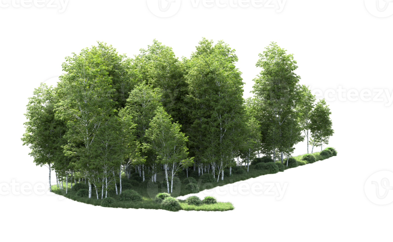 Green forest isolated on background. 3d rendering - illustration png