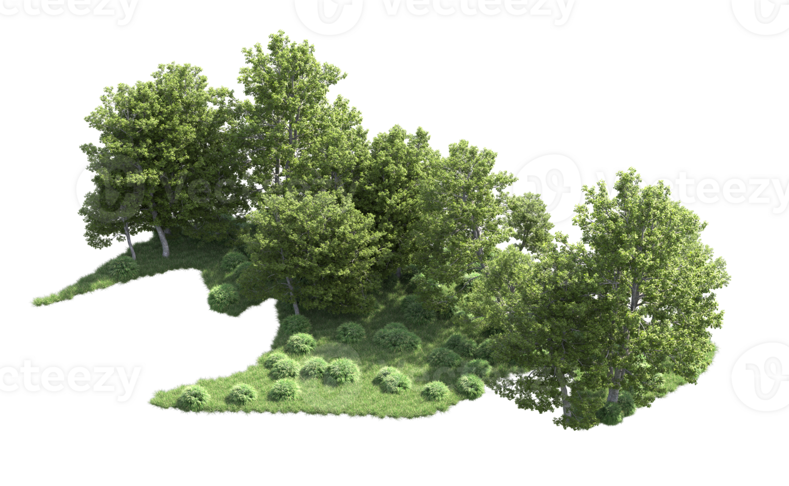 Green forest isolated on background. 3d rendering - illustration png