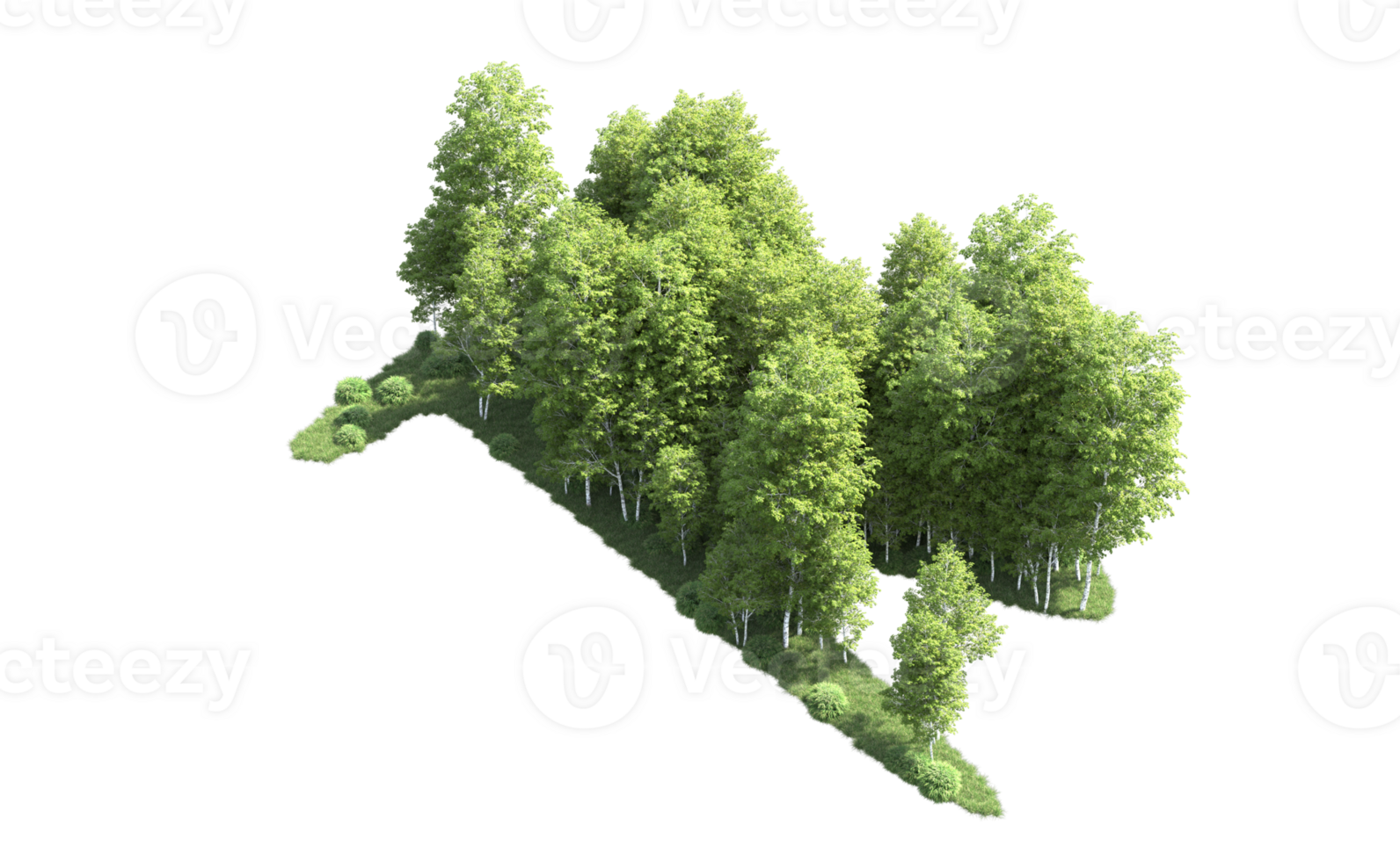 Green forest isolated on background. 3d rendering - illustration png