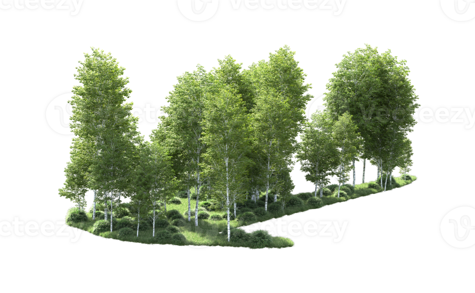 Green forest isolated on background. 3d rendering - illustration png