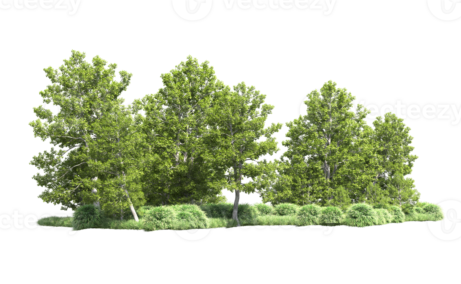 Green forest isolated on background. 3d rendering - illustration png