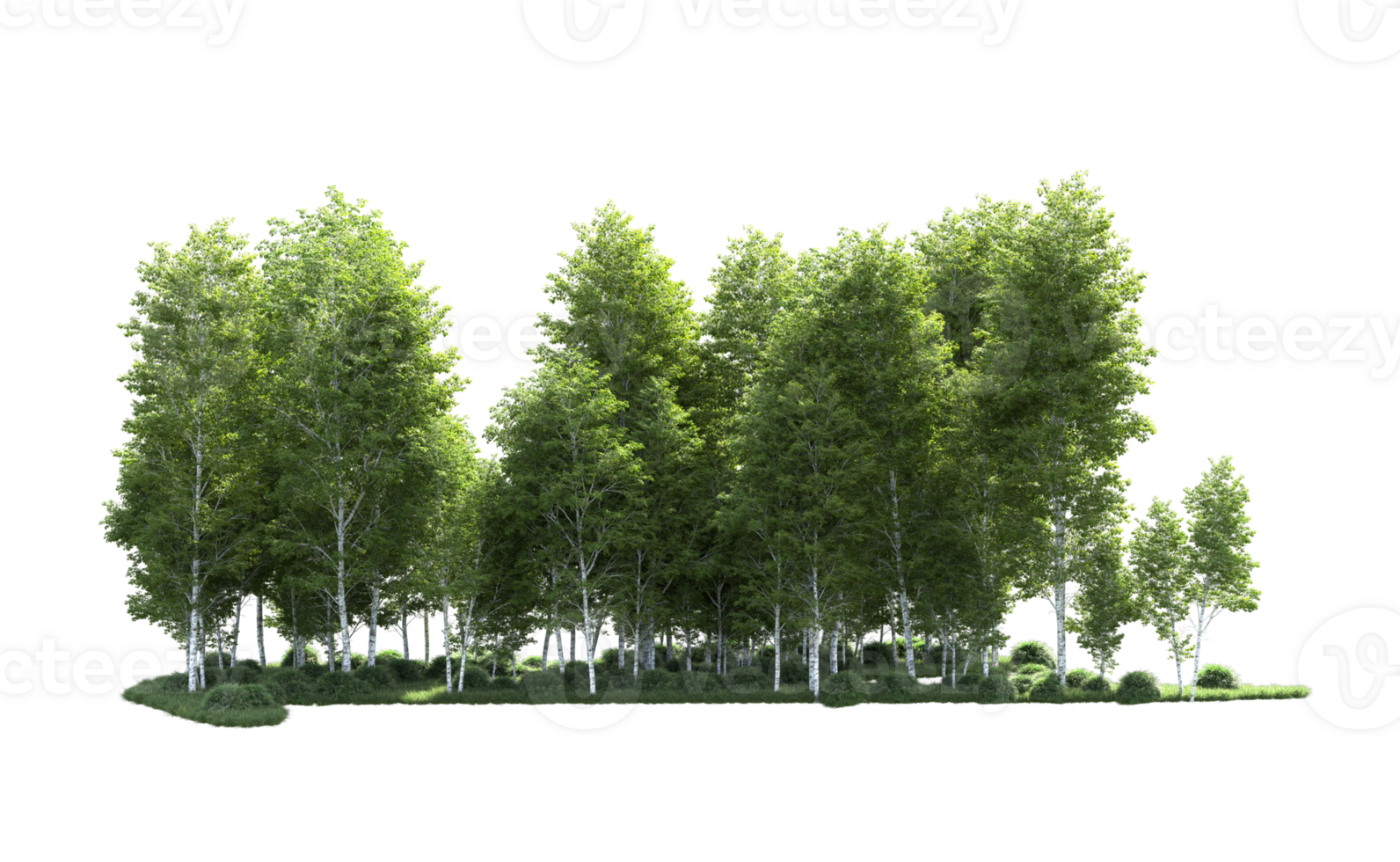 verde foresta isolato su sfondo. 3d interpretazione - illustrazione png