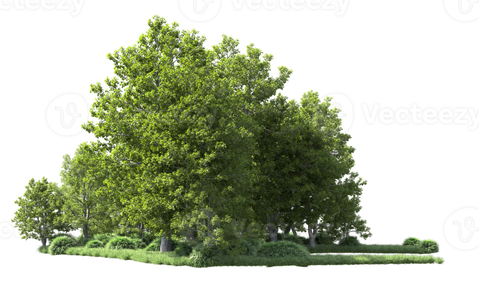 Green forest isolated on background. 3d rendering - illustration png