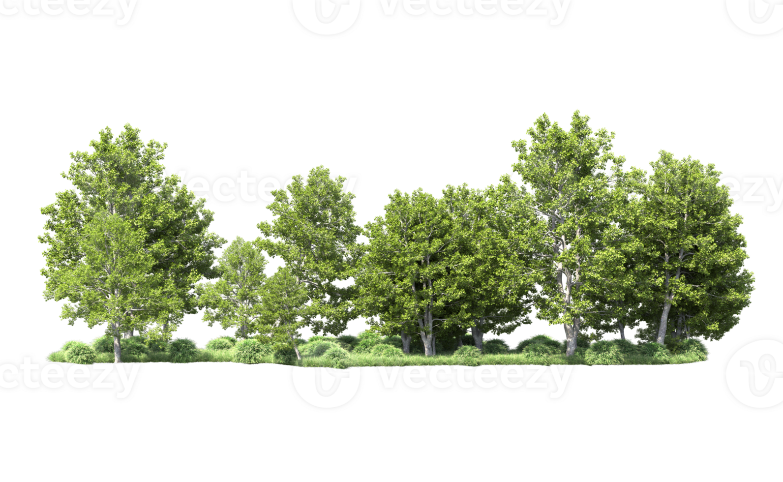 Green forest isolated on background. 3d rendering - illustration png