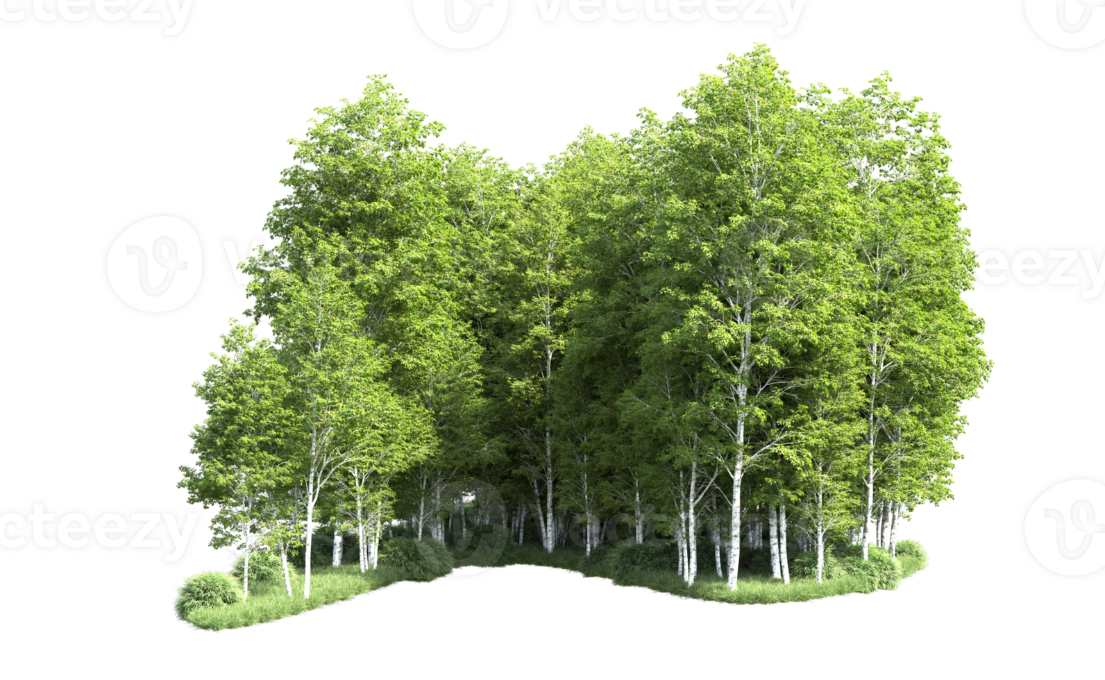 Green forest isolated on background. 3d rendering - illustration png