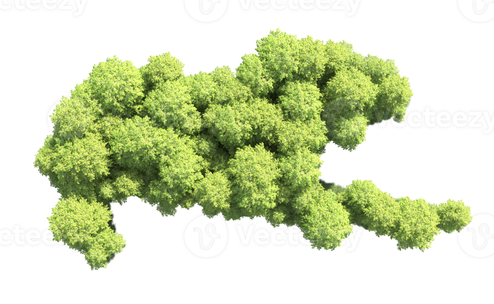 Green forest isolated on background. 3d rendering - illustration png