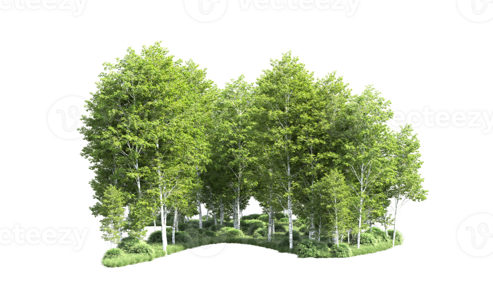 Green forest isolated on background. 3d rendering - illustration png