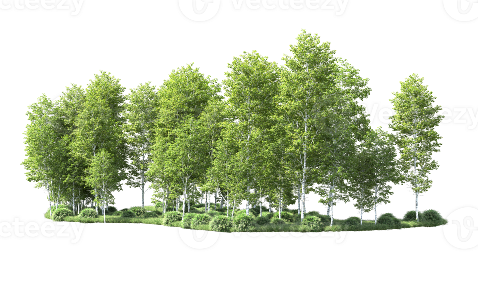 Green forest isolated on background. 3d rendering - illustration png