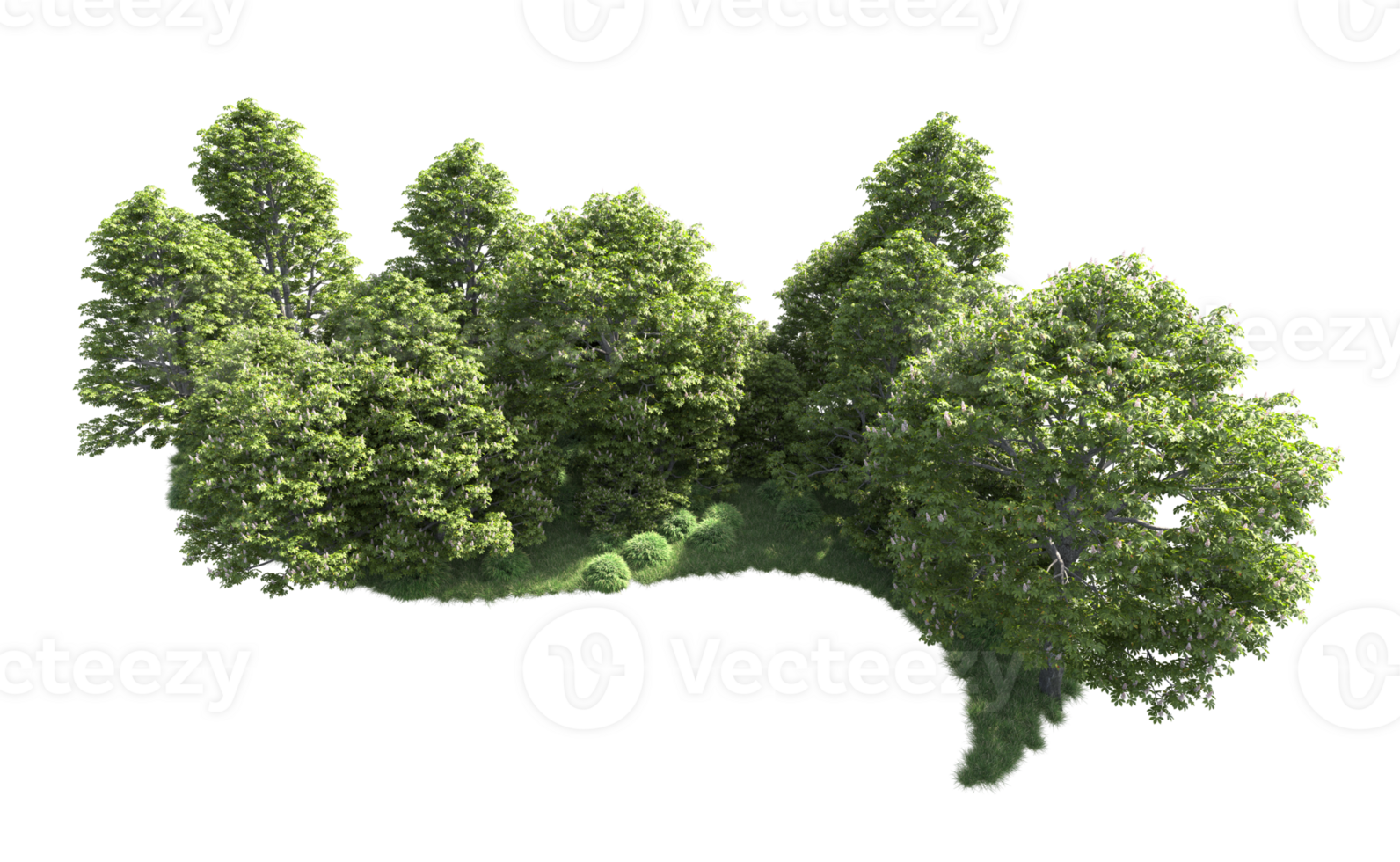 Green forest isolated on background. 3d rendering - illustration png