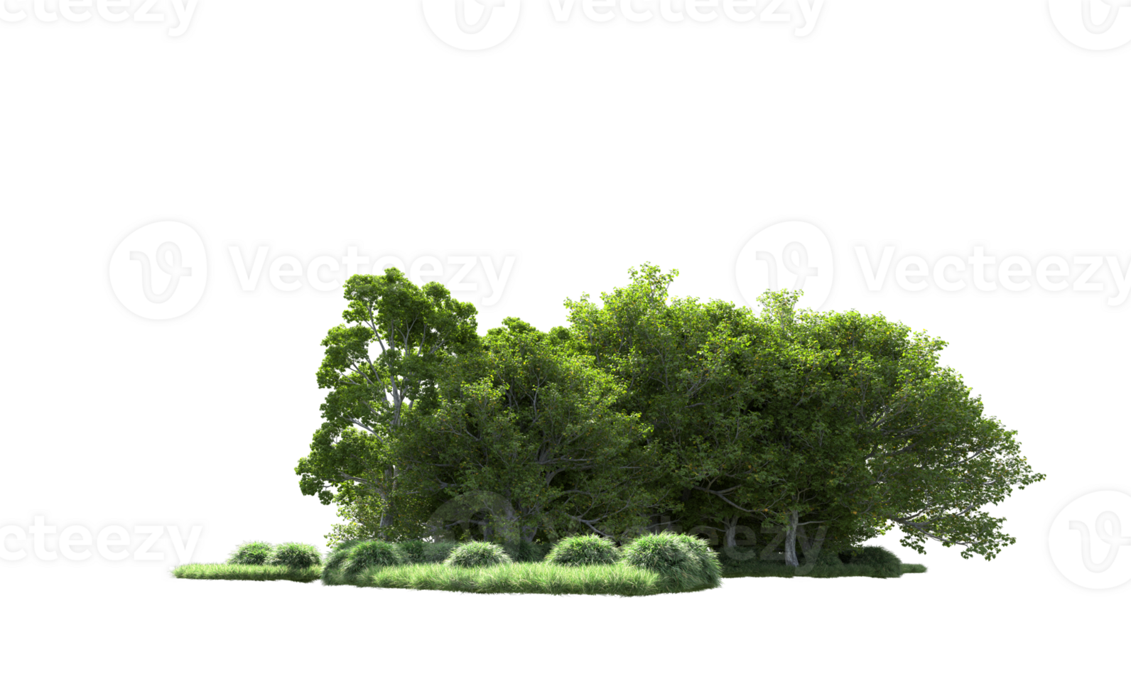Green forest isolated on background. 3d rendering - illustration png