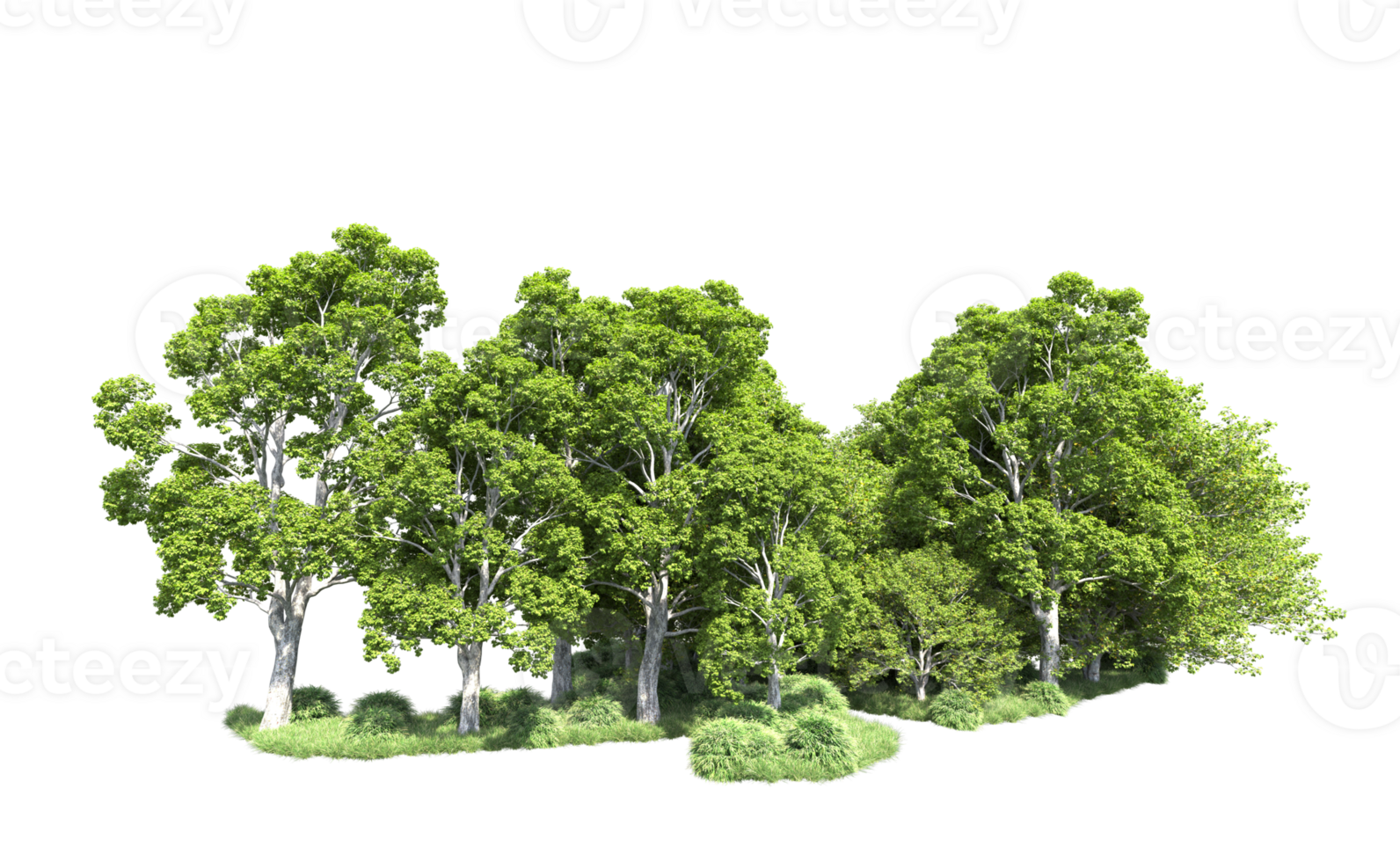 Green forest isolated on background. 3d rendering - illustration png