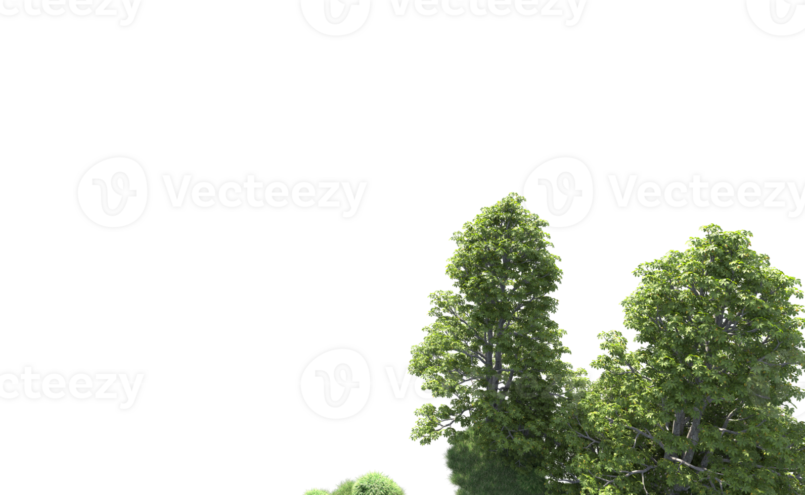 Green forest isolated on background. 3d rendering - illustration png