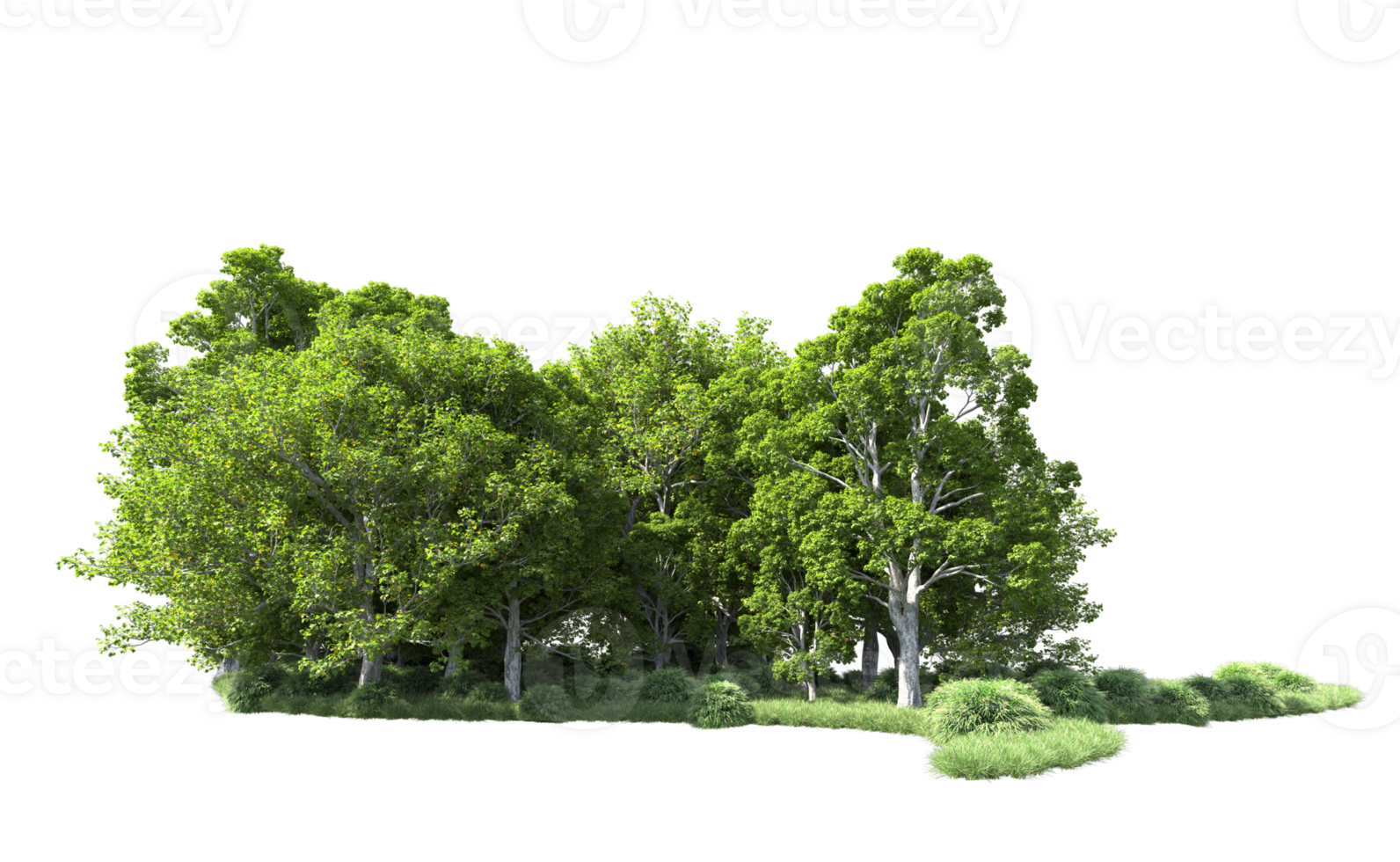 Green forest isolated on background. 3d rendering - illustration png