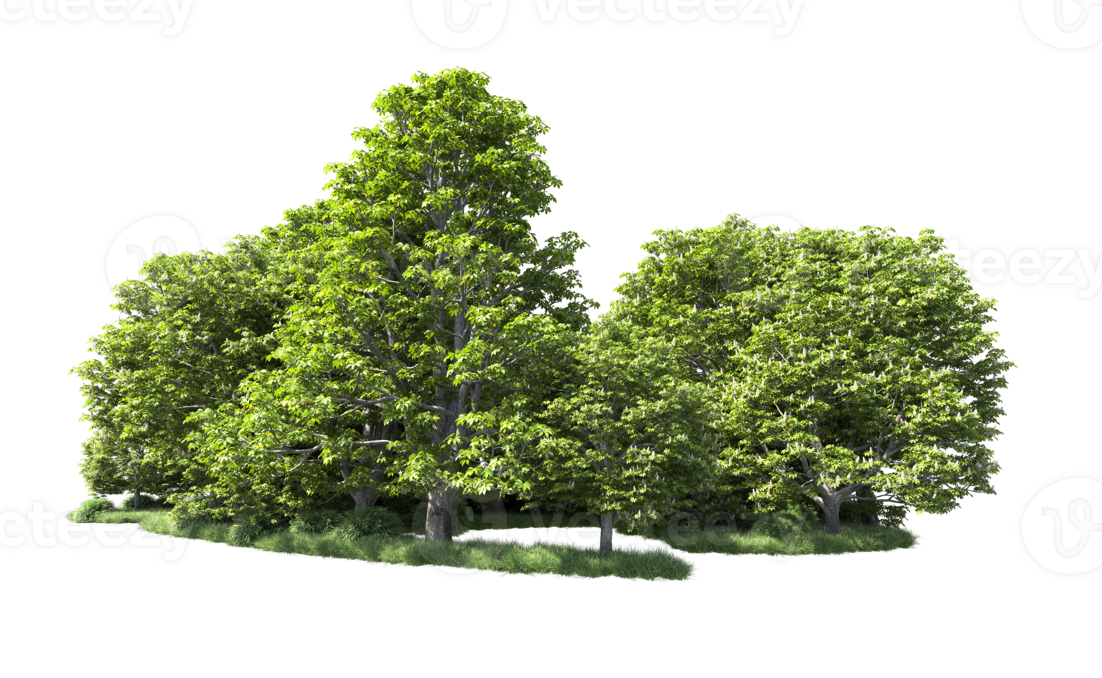 Green forest isolated on background. 3d rendering - illustration png