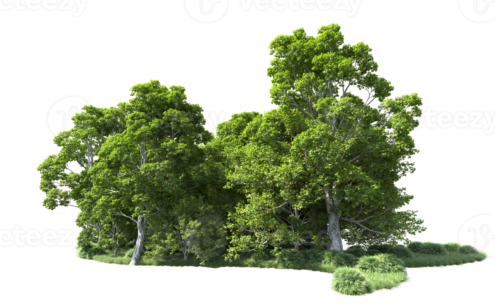 Green forest isolated on background. 3d rendering - illustration png