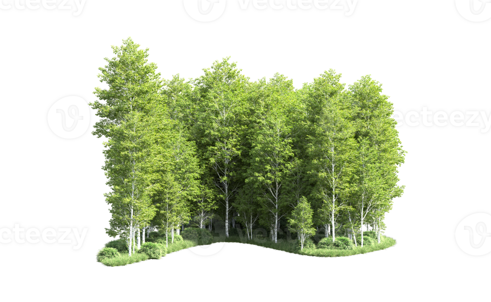 Green forest isolated on background. 3d rendering - illustration png