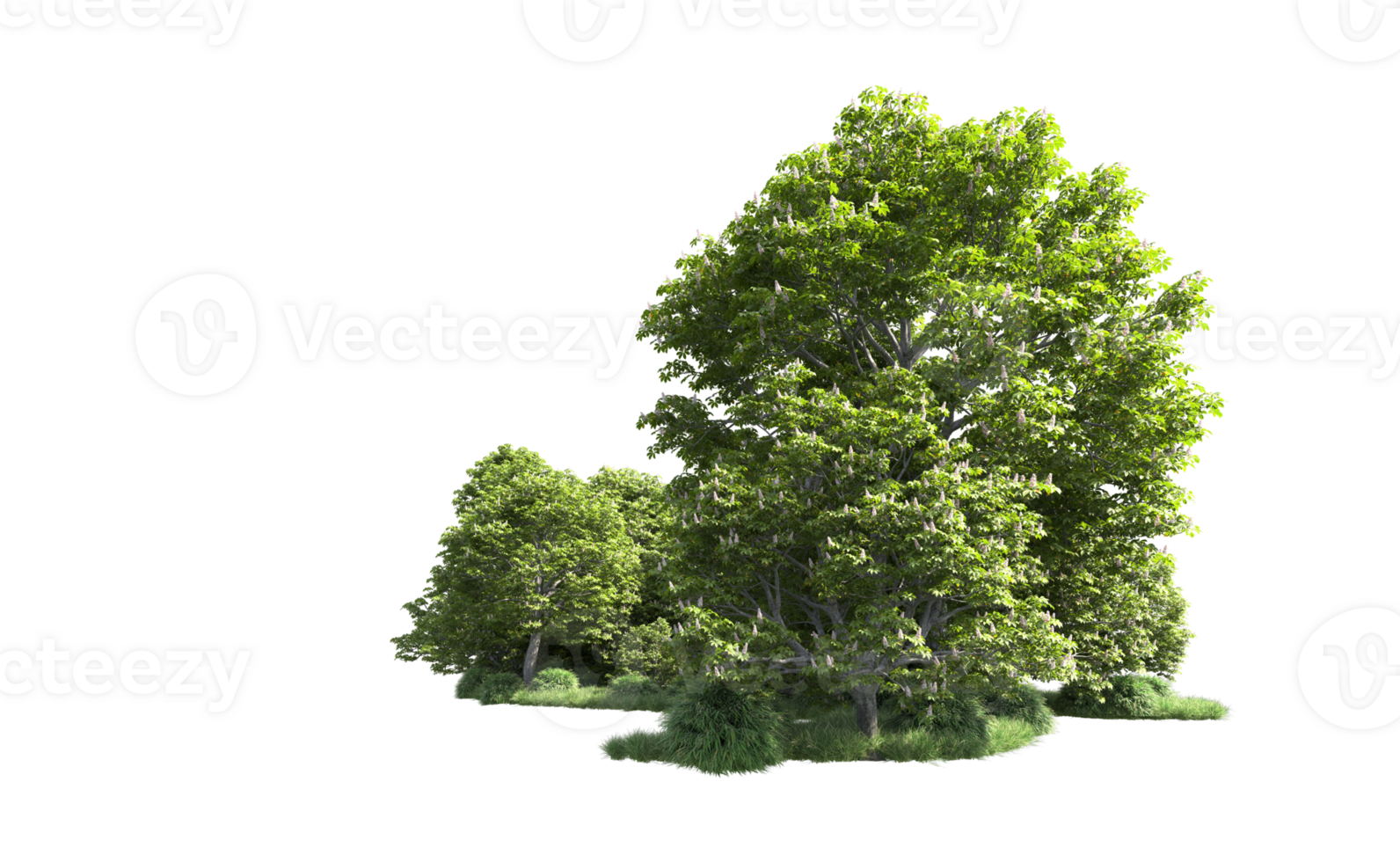 Green forest isolated on background. 3d rendering - illustration png
