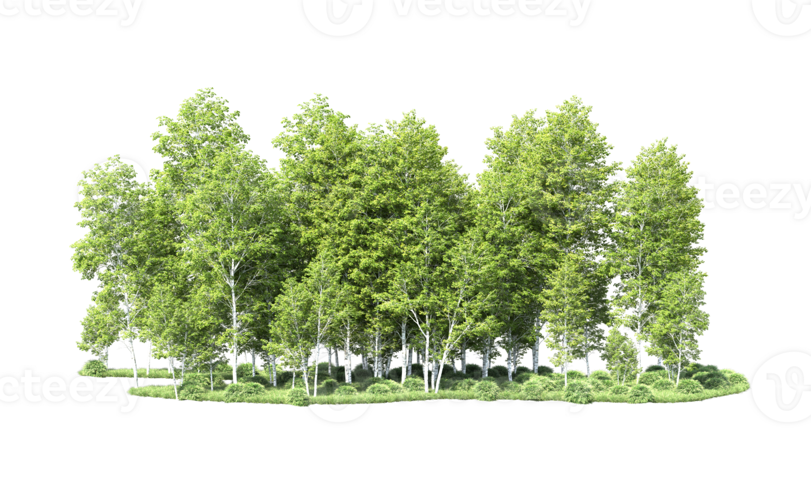 Green forest isolated on background. 3d rendering - illustration png