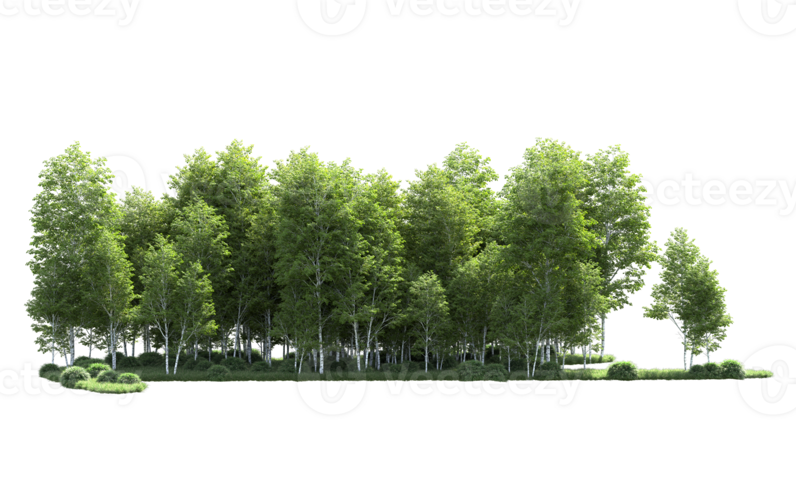 Green forest isolated on background. 3d rendering - illustration png