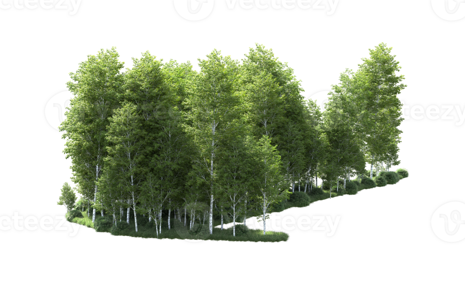 vert forêt isolé sur Contexte. 3d le rendu - illustration png