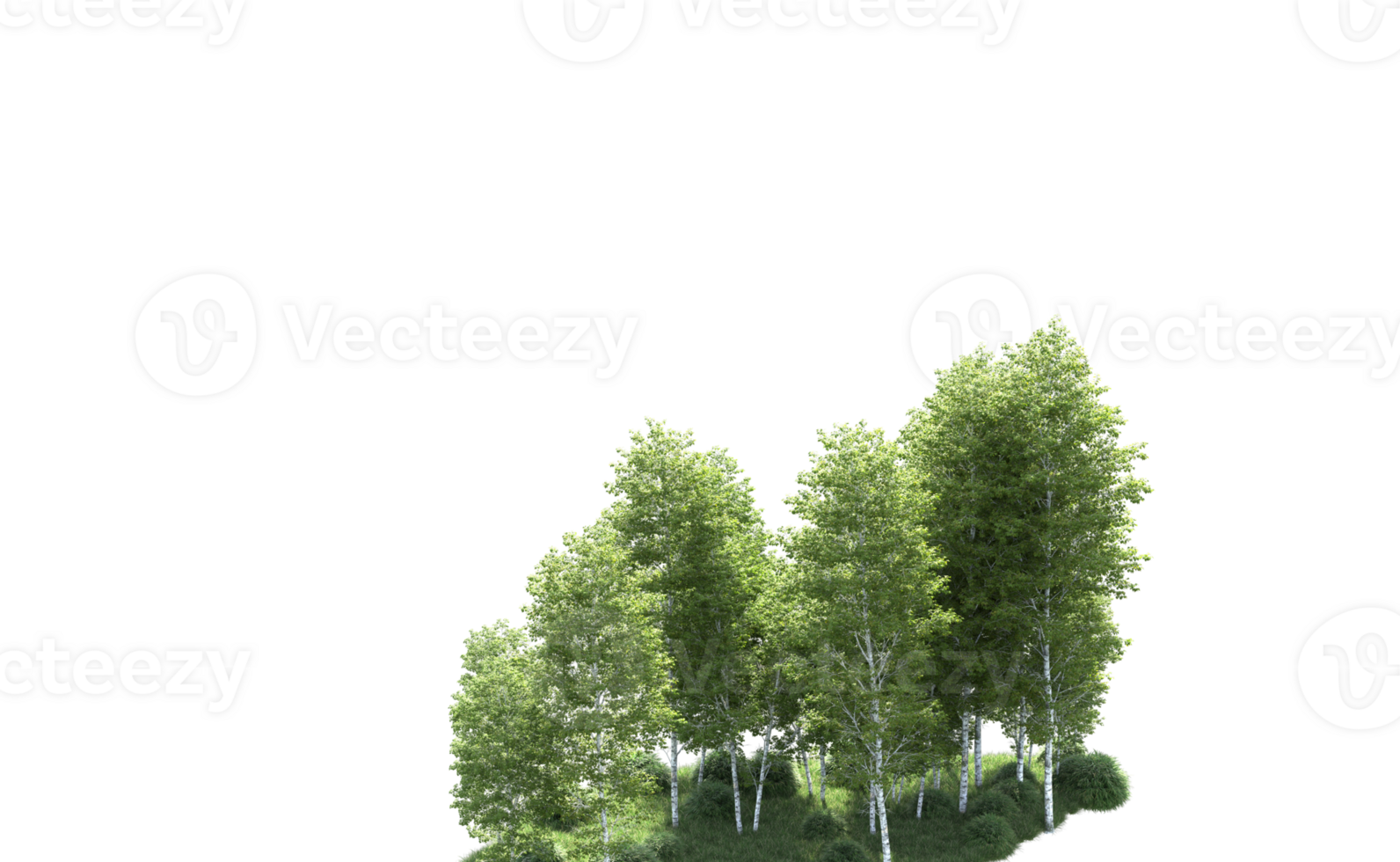 Green forest isolated on background. 3d rendering - illustration png