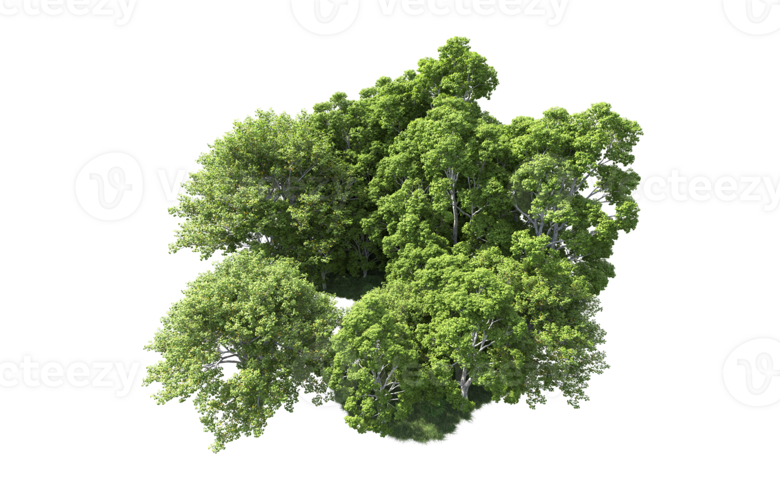 Green forest isolated on background. 3d rendering - illustration png