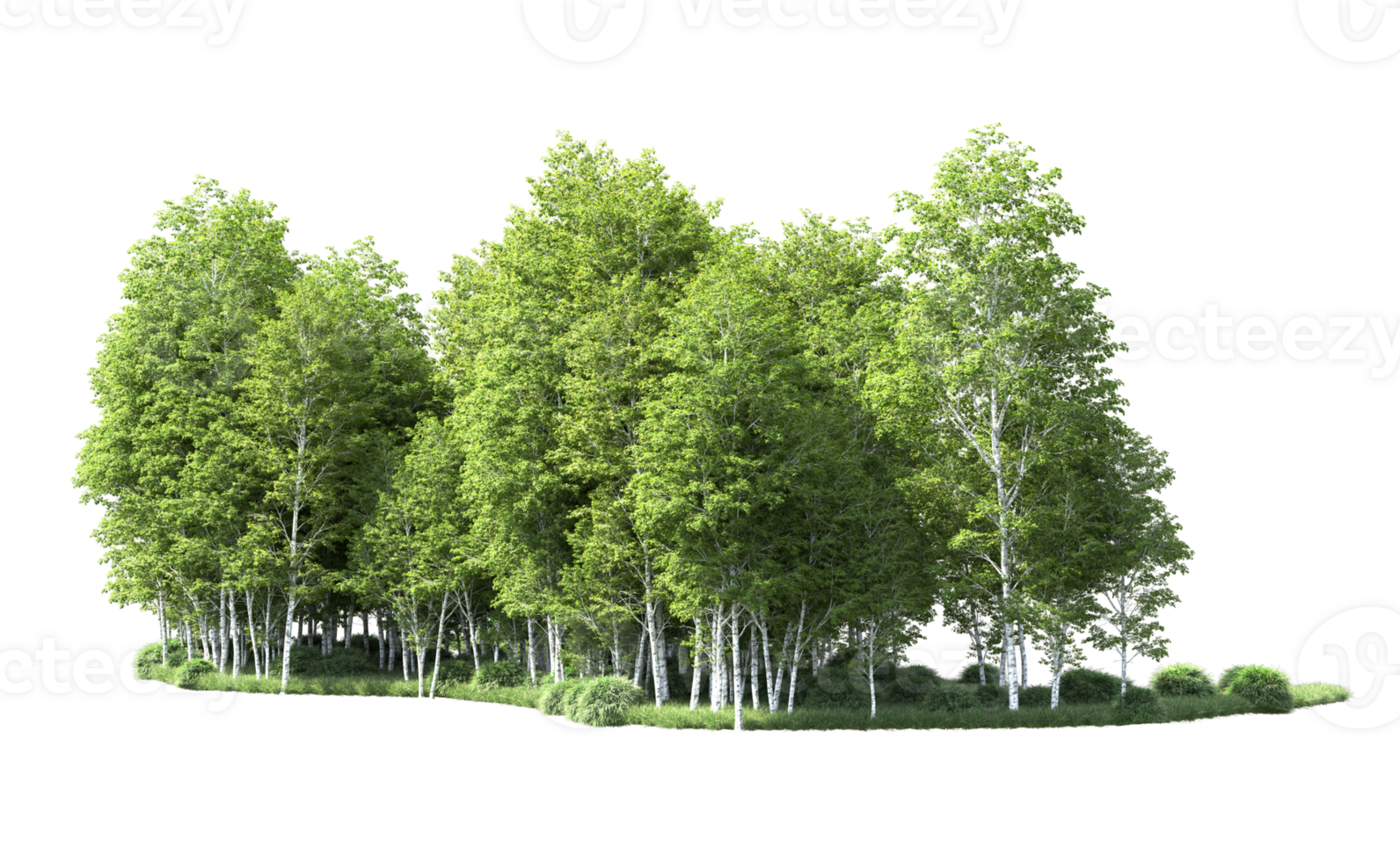 Green forest isolated on background. 3d rendering - illustration png