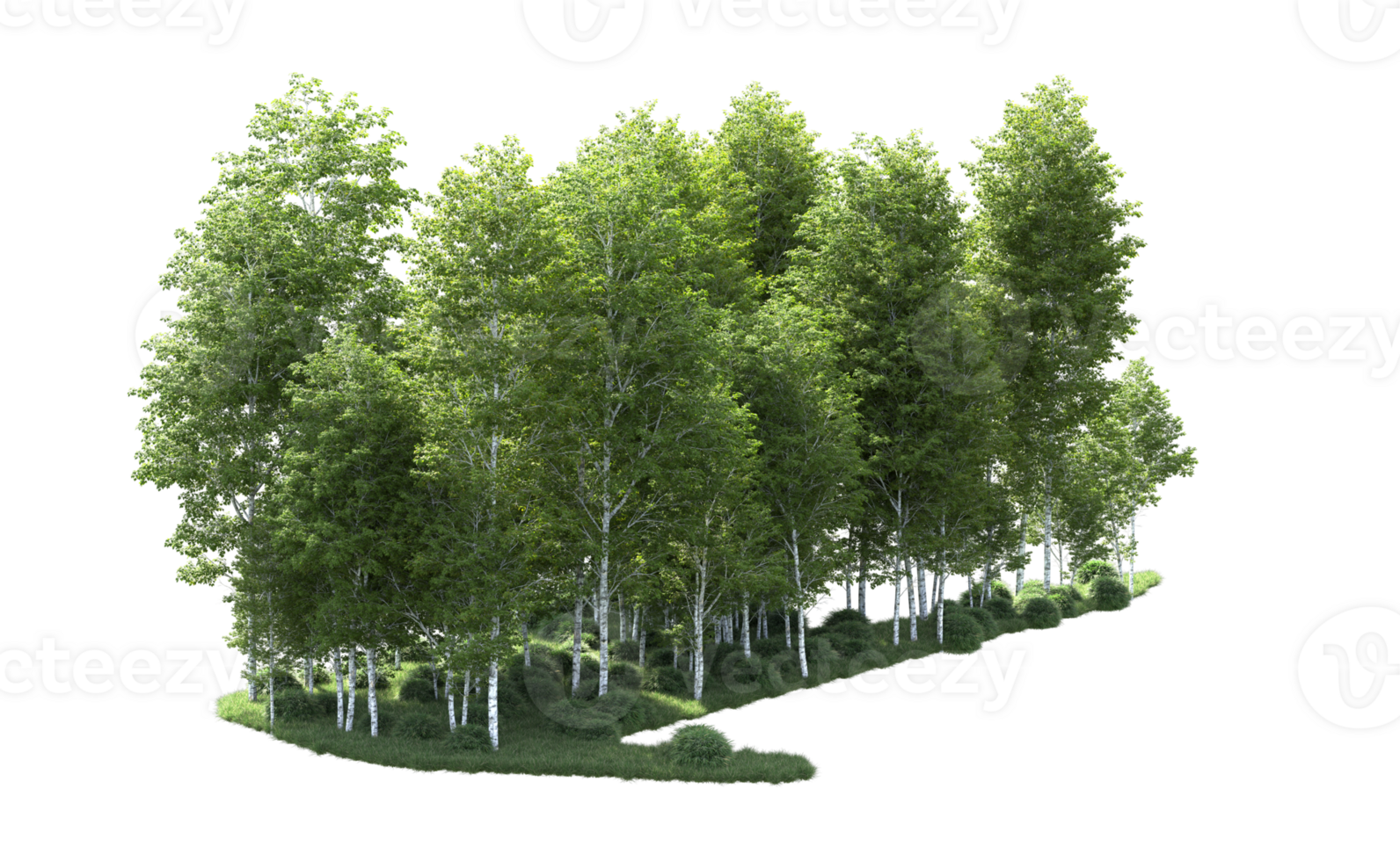 Green forest isolated on background. 3d rendering - illustration png