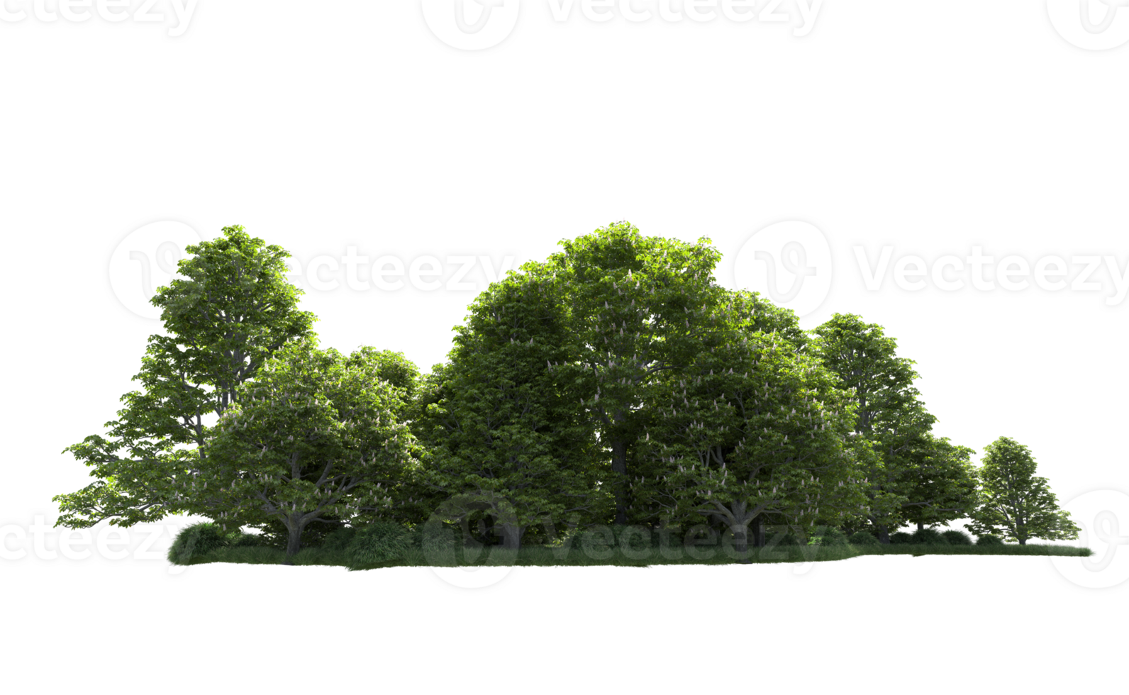 Green forest isolated on background. 3d rendering - illustration png