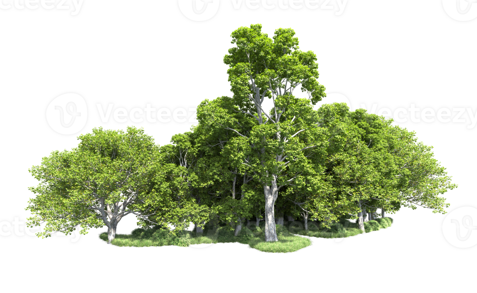 Green forest isolated on background. 3d rendering - illustration png