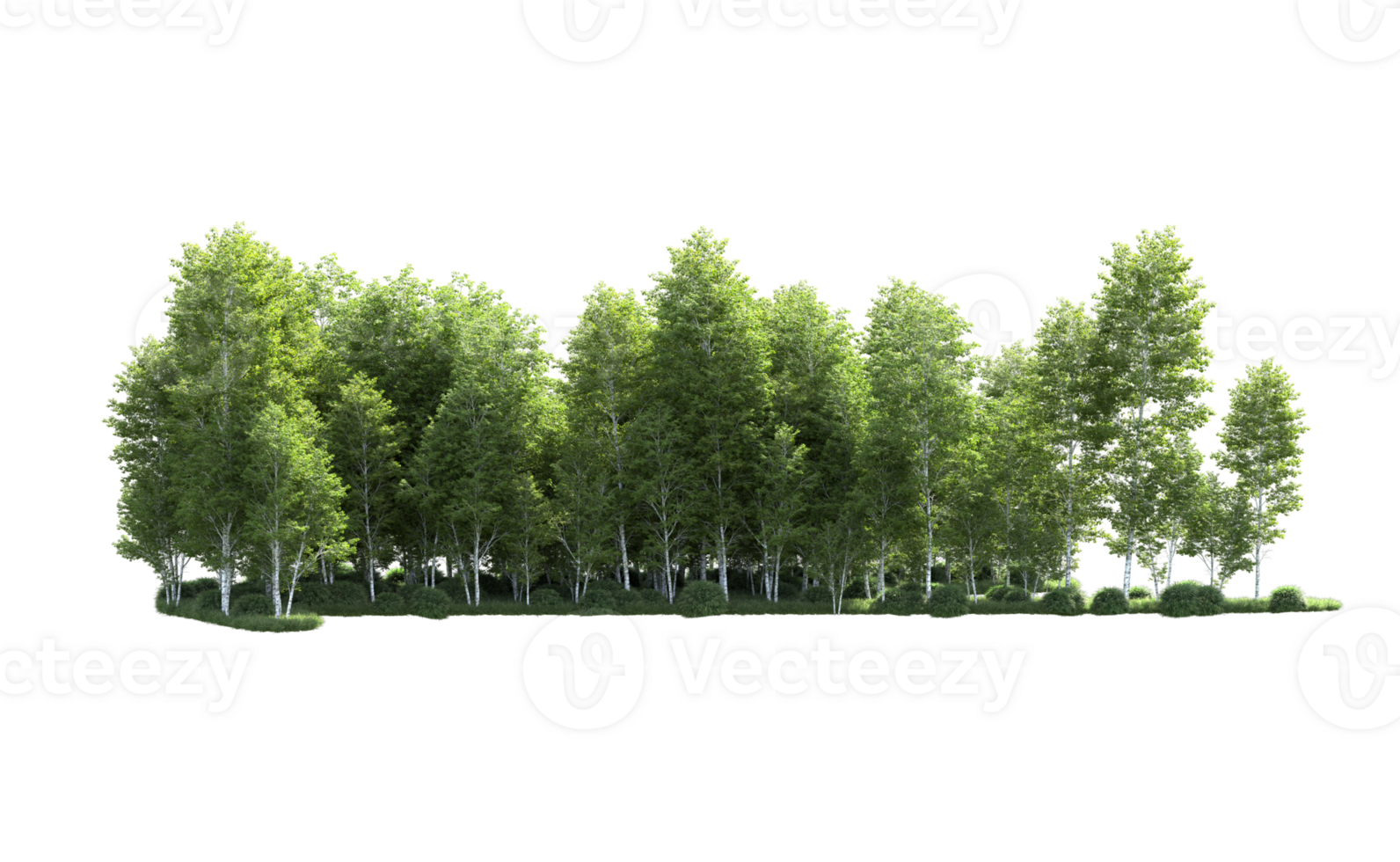 Green forest isolated on background. 3d rendering - illustration png
