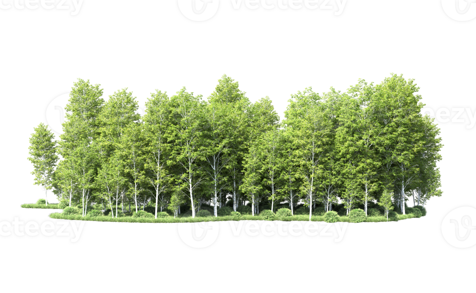Green forest isolated on background. 3d rendering - illustration png