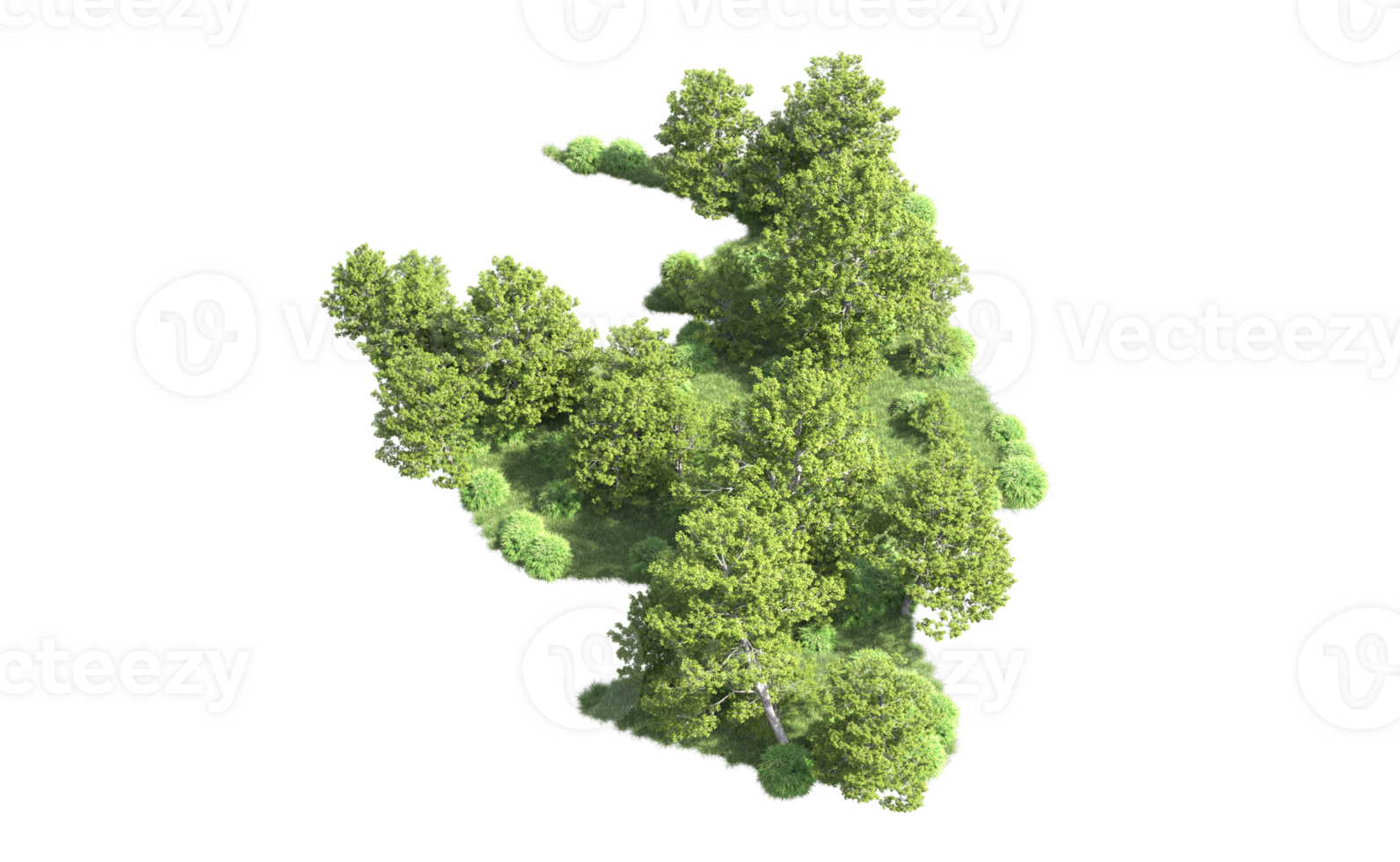 verde bosque aislado en antecedentes. 3d representación - ilustración png