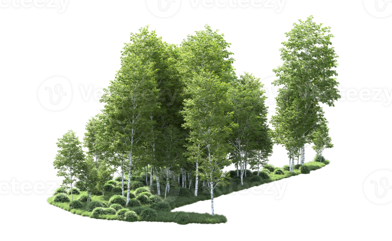 Green forest isolated on background. 3d rendering - illustration png