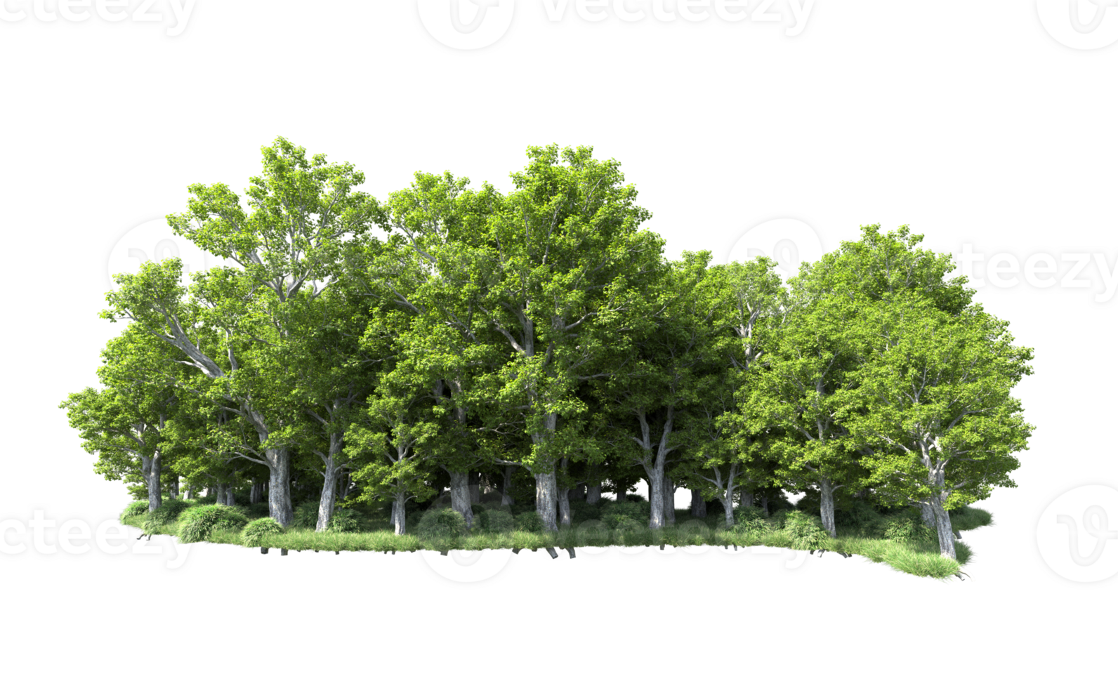 Green forest isolated on background. 3d rendering - illustration png