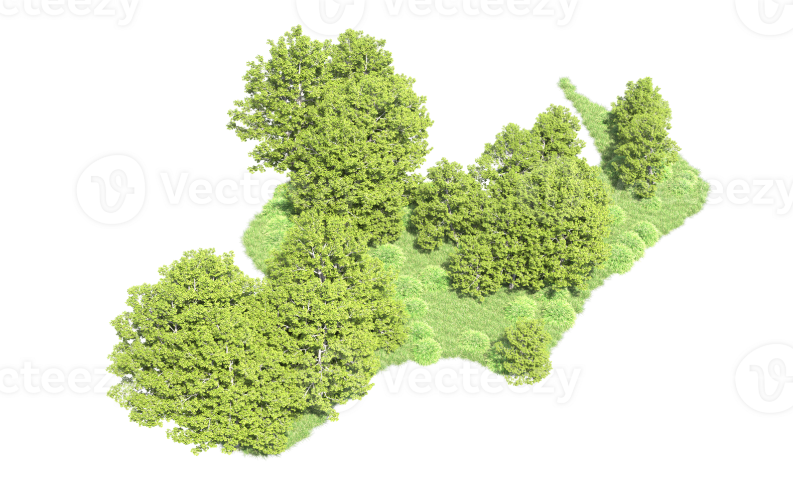 Green forest isolated on background. 3d rendering - illustration png