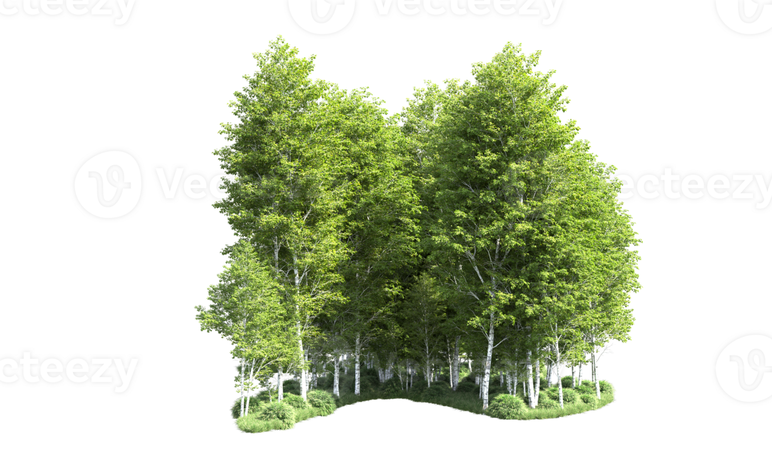 Green forest isolated on background. 3d rendering - illustration png