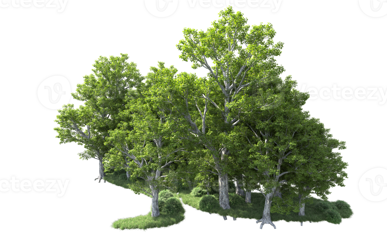 Green forest isolated on background. 3d rendering - illustration png