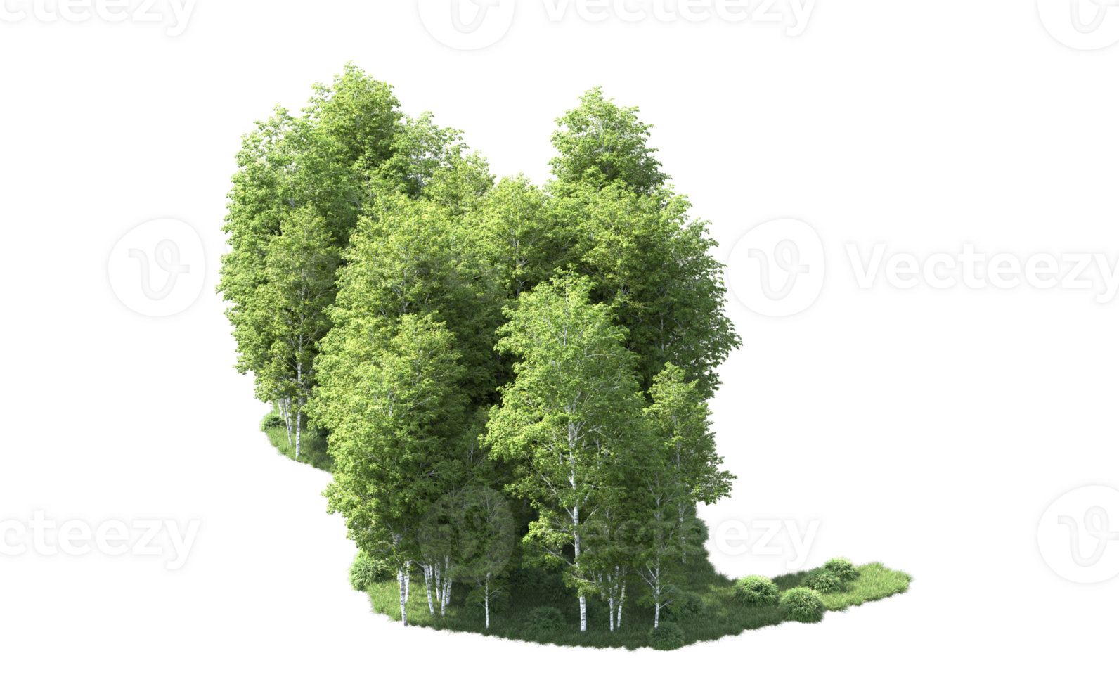 Green forest isolated on background. 3d rendering - illustration png